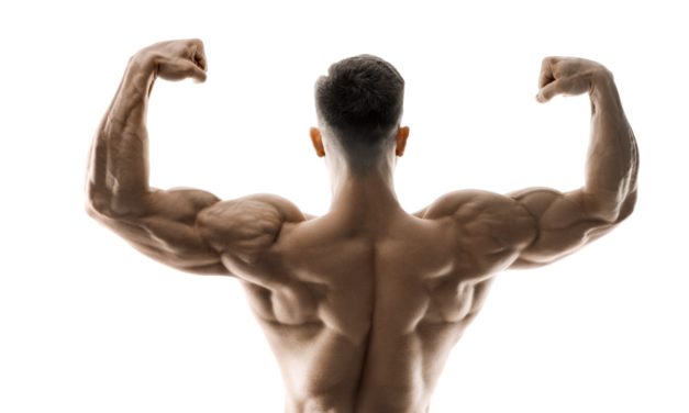 V-Shape 101: How to Build Massive 3D Shoulders